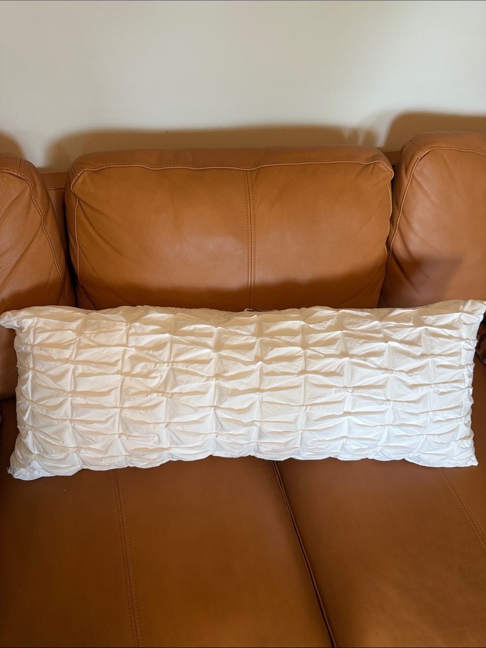 DKNY Ivory Lumbar Textured Pillow with feather inserts